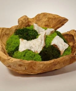 DECOR T&C Floral Company Organic Moss Garden In Hand Carved Wood Log