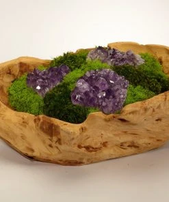 DECOR T&C Floral Company Organic Moss Garden In Hand Carved Wood Log