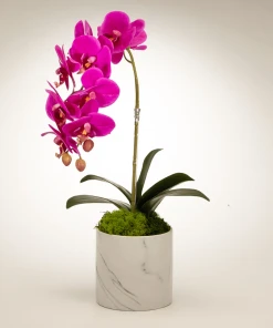 T&C Floral Company Orchid In White Marble Container
