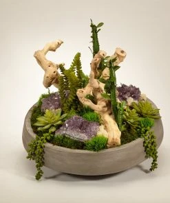 T&C Floral Company Succulents And Drift Wood In Large Concrete Bowl DECOR