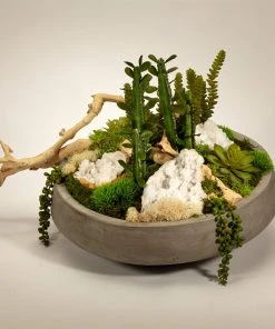 T&C Floral Company Succulents And Drift Wood In Large Concrete Bowl DECOR