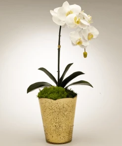 T&C Floral Company Orchid In Gold Vintage Mercury Glass DECOR