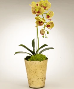 T&C Floral Company Orchid In Gold Vintage Mercury Glass DECOR