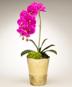 T&C Floral Company Orchid In Gold Vintage Mercury Glass DECOR