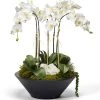 T&C Floral Company Orchid In Round Metal Container DECOR