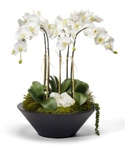 T&C Floral Company Orchid In Round Metal Container DECOR
