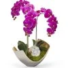 T&C Floral Company Orchids In Two Tone Metal With Goede - Fuchsia Phalaenopsis