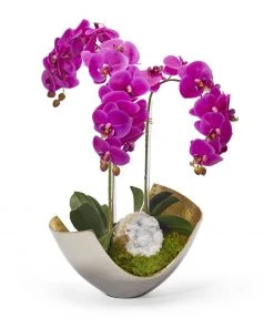 T&C Floral Company Orchids In Two Tone Metal With Goede - Fuchsia Phalaenopsis