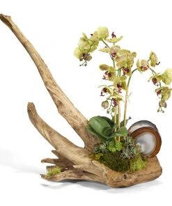 T&C Floral Company Orchids On Driftwood