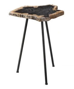Uttermost Mircea Petrified Wood Accent Table Side & End Tables