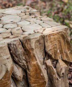 Side & End Tables Uttermost Teak Root Bunching Cube