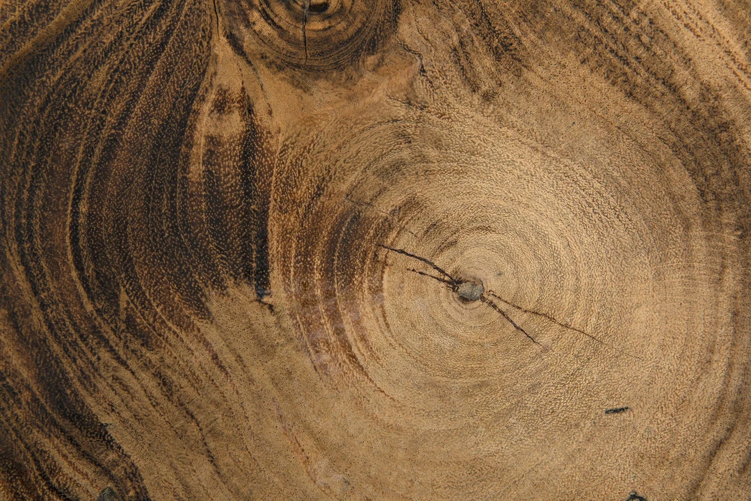 HOME OFFICE Noir Rabban Bookcase, Hand Rubbed Black, Natural 4 HOME OFFICE Noir Rabban Bookcase, Hand Rubbed Black, Natural