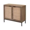 Jamie Young Reed 2 Door Accent Cabinet In Washed Wood & Black Metal LIVING ROOM