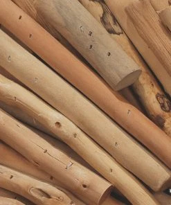 DECOR Jamie Young Driftwood Rectangle Mirror