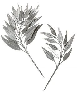 Uttermost Palm Branches Metal Wall Decor, S/2