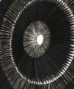 Uttermost Sandara Black And Gold Shadow Box DECOR