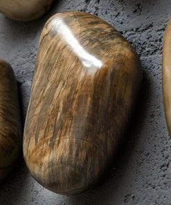 Uttermost Pebbles Walnut Wood Wall Décor, S/9