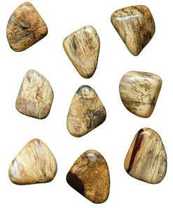 Uttermost Pebbles Blonde Wood Wall Décor, S/9 DECOR