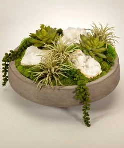 T&C Floral Company Succulents In Concrete Bowl