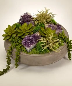 T&C Floral Company Succulents In Concrete Bowl