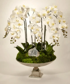 T&C Floral Company Orchid And Celestite In Large Silver Urn