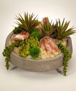 T&C Floral Company Succulents In Concrete Bowl
