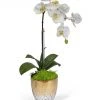 T&C Floral Company Single Orchid In Champagne Vase