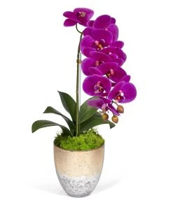 T&C Floral Company Single Orchid In Champagne Vase