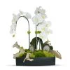 T&C Floral Company Orchids In Rectangle Ceramic W/Agate Slabs W DECOR