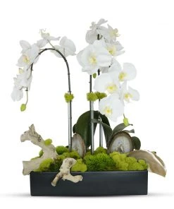 T&C Floral Company Orchids In Rectangle Ceramic W/Agate Slabs W DECOR
