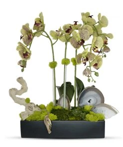 DECOR T&C Floral Company Orchids In Ret Ceramic W/Agate Slabs G
