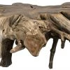 Noir Teak Root Coffee Table