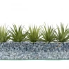 T&C Floral Company Agave In Rectangular/Glass/Crushed Blue Calcite Light DECOR