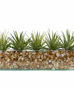 T&C Floral Company Agave In Rectangular/Glass/Crushed Citrine Light
