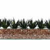 T&C Floral Company Agave In Rectangular/Glass/Crushed Red Calcite Dark