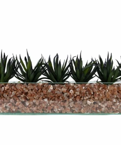 T&C Floral Company Agave In Rectangular/Glass/Crushed Red Calcite Dark