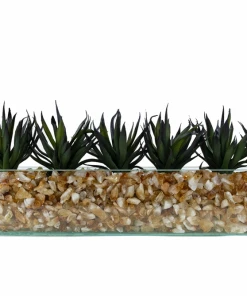 T&C Floral Company Agave In Rectangular/Glass/Crushed Citrine Dark