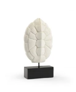 Wildwood White Turtle Shell