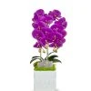 DECOR T&C Floral Company White Ceramic Double Fuschia Orchid/Quartz