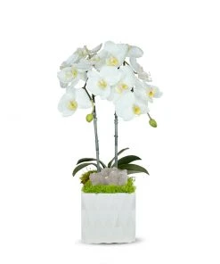 T&C Floral Company White Ceramic Double White Orchid/Quartz DECOR