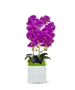 DECOR T&C Floral Company White Ceramic Double Fuschia Orchid/Black Quartz
