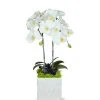 DECOR T&C Floral Company White Ceramic Double White Orchid/Black Quartz