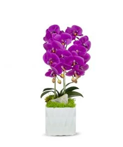DECOR T&C Floral Company White Ceramic Double Fuschia Orchid/Green Calcite