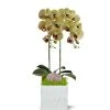 T&C Floral Company White Ceramic Double Green Orchid/Rose Quartz Pink