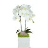 T&C Floral Company White Ceramic Double White Orchid/Rose Quartz Pink