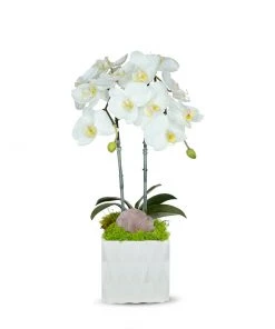 T&C Floral Company White Ceramic Double White Orchid/Rose Quartz Pink
