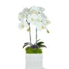DECOR T&C Floral Company White Ceramic Double White Orchid/Amathyst