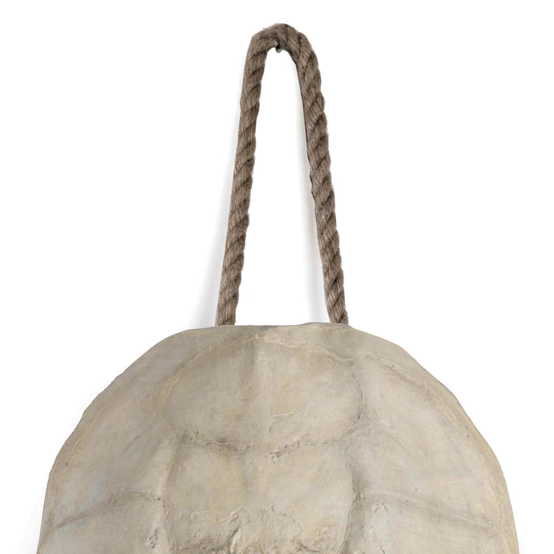 Regina Andrew Turtle Shell Accessory (Bleached) 4 Regina Andrew Turtle Shell Accessory (Bleached)