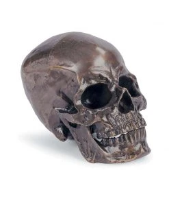 Regina Andrew Metal Skull (Antique Bronze) DECOR