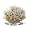 Regina Andrew Ribbon Coral (White) 1 Regina Andrew Ribbon Coral (White)